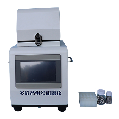 高通量研磨機XY-48